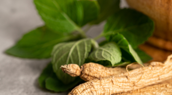 Plantes officinales